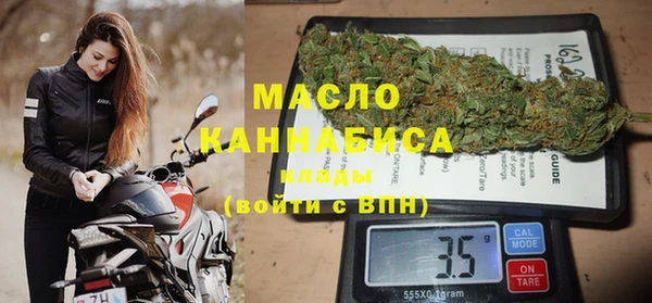 гидра Абаза